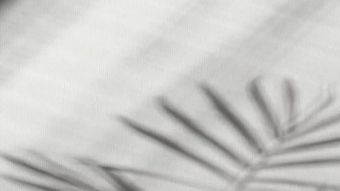 Close-up palm tree leaves silhouette shadow on wall, nature abstract background Stock-Footage 297263556