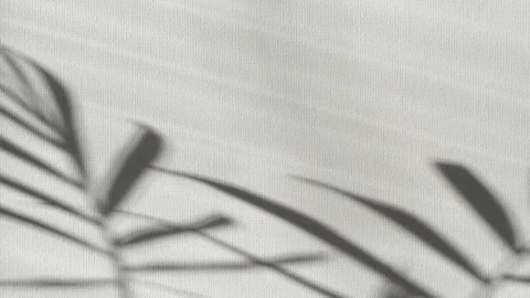 Close-up palm tree leaves silhouette shadow on wall, nature abstract background Stock Footage 305998417