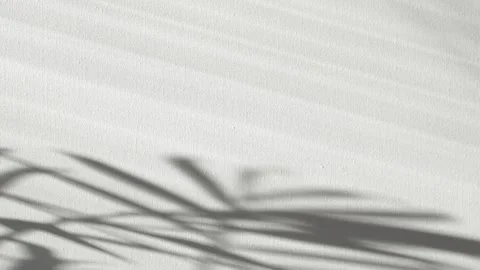 Close-up palm tree leaves silhouette shadow on wall, nature abstract background Stock Footage 305998447