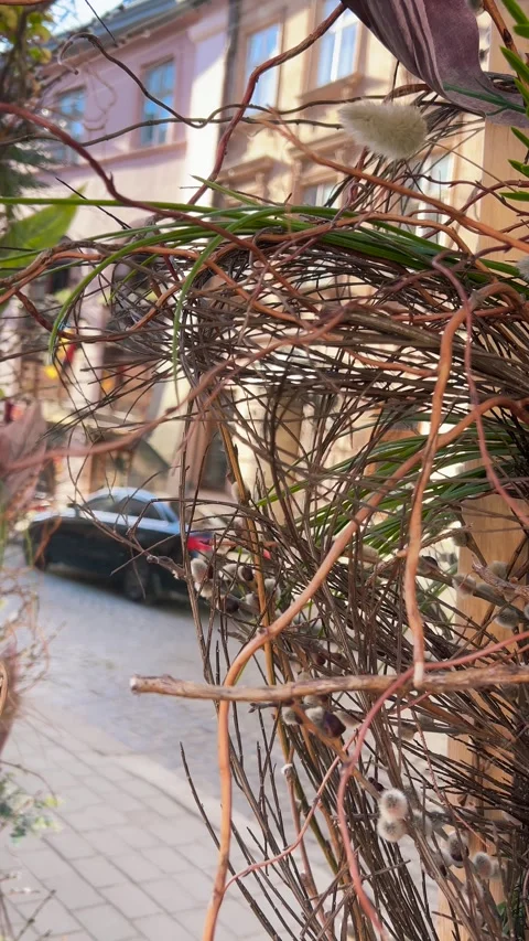 Close-up of a palm tree trunk covered with dry fibers and roots.  Video stock 339085586