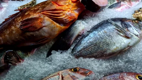 Close-up pan across fresh fish frozen on display presented in ice at seafood 스톡 동영상 299514991