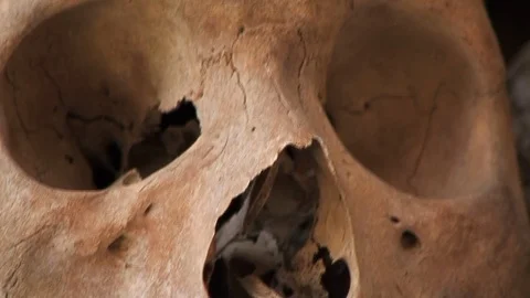 Close-Up, Pan Along Skulls Video stock 92397695