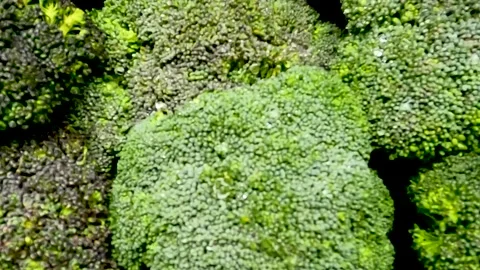 Close up pan broccoli heads in a retail grocery store Stock Footage 179215698