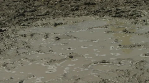 Close up pan on brown muddy ground and mud puddles after rainstorm Stock Footage 204877044