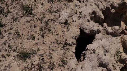 Close up pan of dry soil and low waterline alongside a lake during a dry Stock Footage 118750732