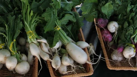 Close-up pan of fresh radishes in baskets at farmers market Stock Footage 272347842