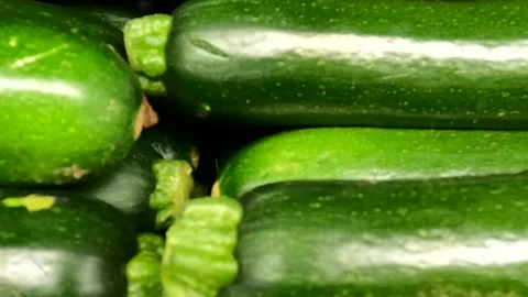 Close up pan green  Zucchini squash in a retail grocery store Stock Footage 179214438