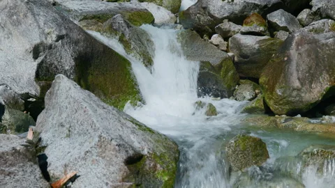 Close-Up Pan of Mountain Stream Flowing Among White Mossy Stones Stock Footage 320218366