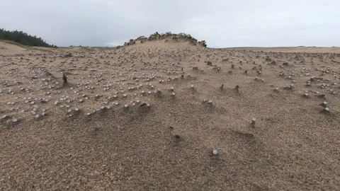 Close-up pan of nurdles (plastic pellets) spilled on beach; dune Stock Footage 157287580