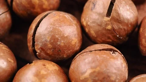 Close-Up Pan Over Macadamia Nuts with Cracked Shells Stock Footage 335349325