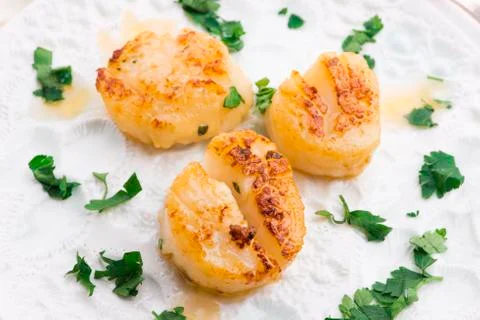 Close up of pan seared sea scallops Stock Photos