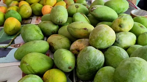 Close-up pan shot of Amrapali or Dasheri or Fazli mangoes on display for sale 스톡 동영상 313380874