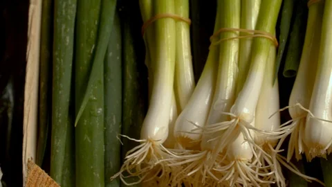 Close Pan Shot of a Bunch of Fresh Red Radishes in a Basket Stock Footage 124078682