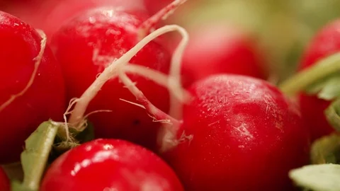 Close Pan Shot of Fresh Red Radishes with Water Drops Видео 124078593