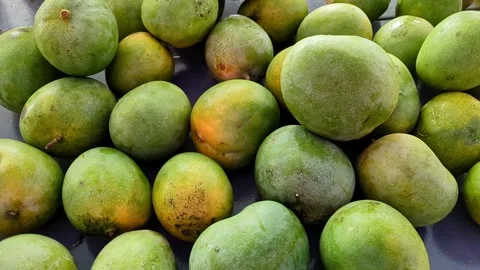 A close-up pan shot of fresh ripe Indian mangoes on sale at a mango festiva.. Stock Footage 313380928