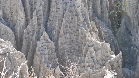 Close Up Pan Shot of Limestone Forest Peaks, Tsingy de Bemaraha, Madagascar Stock Footage 117316552