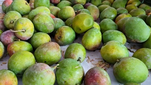 Close-up pan shot of a stack of Sindhura or Honey mangoes on display for sale 스톡 동영상 313380864