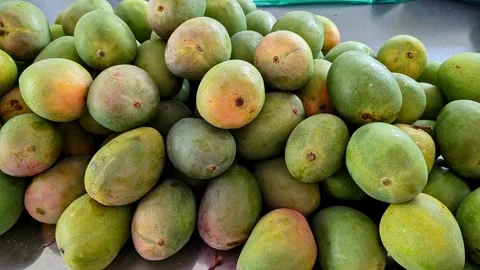 Close-up pan shot of a stack of Sindhura or Honey mangoes on display for sale 스톡 동영상 313380871