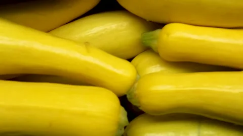 Close up pan Yellow squash in a retail grocery store Stock Footage 179214083