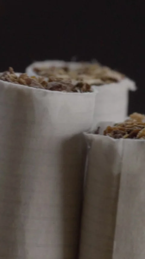 Close-up Panning Shot of Cigarettes Filled with Tobacco Against Dark Background Stock Footage 343708866