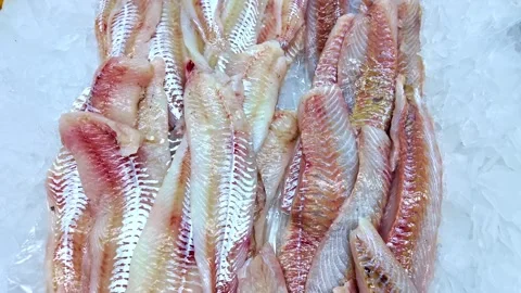 Close-up panning shot of fresh raw whiting fish fillets and black cod loins 스톡 동영상 321180482