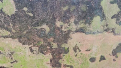 Close up panning shot of an old weathered concrete wall texture with green .. Stock Footage 337583323