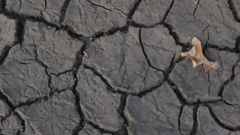 Close-up panning view dry cracked clay ground due to drought from climate change Stock Footage 121154309