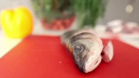 Close up panorama fresh fish on plastic desk with knife Stock Footage 71158911