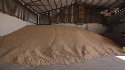 Close up Panorama of the hangar for storing wheat grain. Video stock 122770143