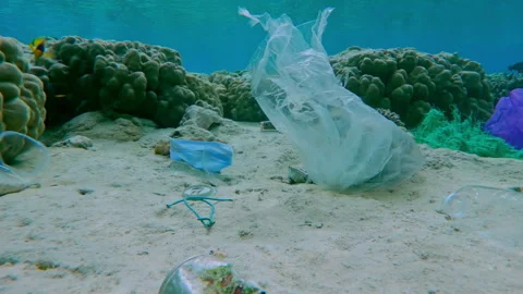 Close-up panorama of plastic trash lying on seafloor between corals of flat-top Video stock 339973409