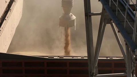 Close panorama of ship loading grain crops on bulk freighter via trunk to open Video stock 91191446