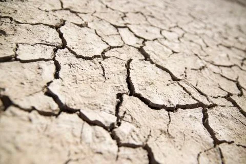 Close-up of parched mud in an arid area. Stock Photos