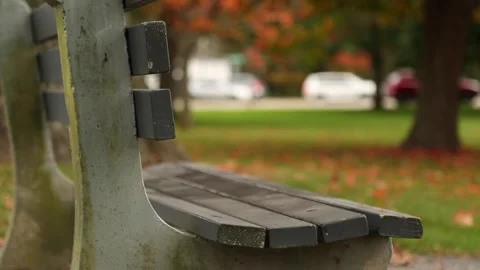CLOSE UP PARK BENCH Stock Footage 186711591