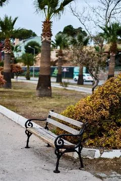 Close-up of a park bench. Rest zone. Shallow depth of field. Stock Photos