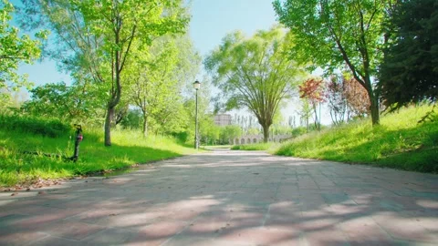 Close-up of Park Path in Summer Stock Footage 295856660