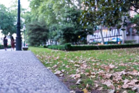 Close up of a park path walk with grass and leaves Stock Photos