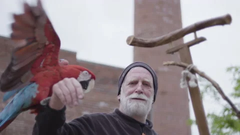 Close up of parrot getting down from bicycle to sit on mans shoulder at 動画素材 153581711