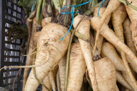 Close Up of Parsnip Vegetable Background Foto stock