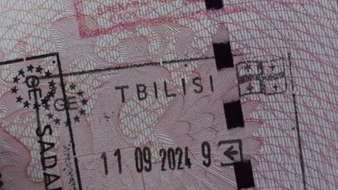 Close up part of foreign passport pages with visas, border stamps Stock Footage 314095702