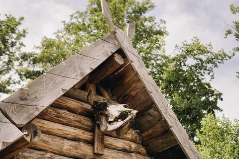 A close-up of a partially destroyed cattle skull that hangs over the entrance Stock Photos