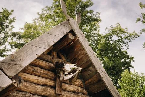 A close-up of a partially destroyed cattle skull that hangs over the entrance Stock Photos
