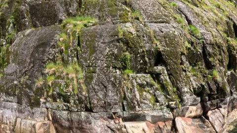 Close passage of vessel along dramatic steep coastal cliff in Lofoten Stock Footage 344753213