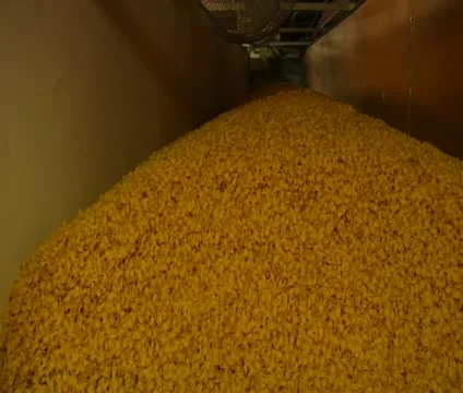 Close up on pasta entering chute Stock Footage 21594915