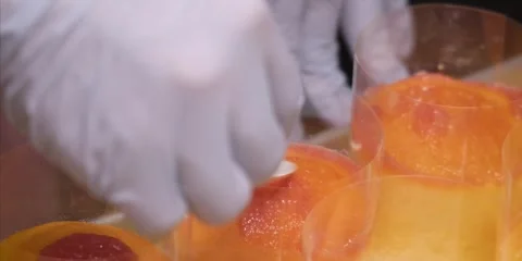 Close-Up of Pastry Chef in Gloves Assembling Orange Mousse and Jelly Dessert Видео 343588880