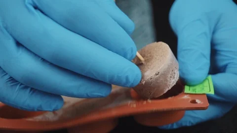 Close-up of a pastry chef preparing a pate Stock Footage 88710415