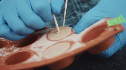 Close-up of a pastry chef preparing a pate Stock Footage 88711229