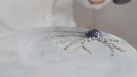 Close up of pastry cook decorating cake with blueberry. Stock Footage 125050033