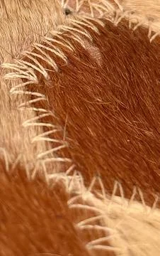 Close up of patchwork hide with visible stitching detail and natural textures Stock Photos
