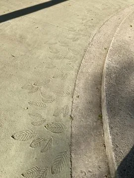 Close-up of a pathway with distinct footprints, suggesting multiple individ.. Stock Photos