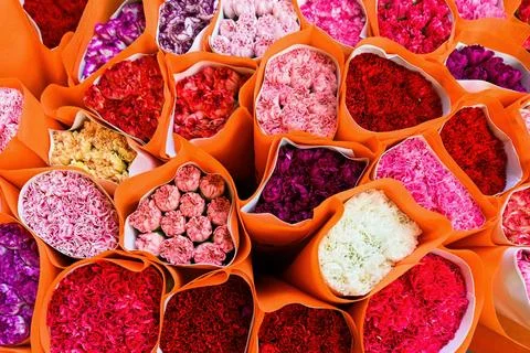 A close up pattern captures a dense collection of vibrant carnation bouquet.. Stock Photos